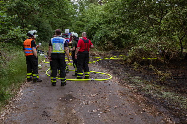Forest fire near Weiterstadt On 29 05 2026, a forest fire broke out in Weiterstadt Gräfenhausen west of the A5 freeway It affected a forest area of around 900 square meters between the Gräfenhausen West servic