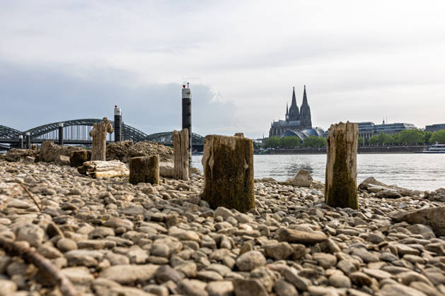 Low water in Cologne 29 05 2026 Low water on the Rhine in Cologne Deutz At a Rhine level of 148 cm at the Cologne gauge, gravel areas and old wooden piles are exposed on the right bank of the Rhine The wooden piles become visible at low water their exact historical classification is not clear Cologne Cathedral and the Copyright: xMarcxJohnx