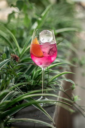 Rosa Cocktail mit Zitrusfrüchten im Garten Refreshing pink cocktail with orange slice and ice served in elegant wine glass among lush green plants (License=RF) Copyright: xZoonar.com MaximxSparishx 25130877