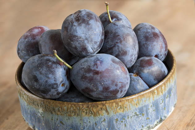 IMAGO Creative, Jahreszeit Sommer, Food, Pflaume pflaumen,pflaume,zwetschge,zwetschgen ** plums,plum 2yo-hsl