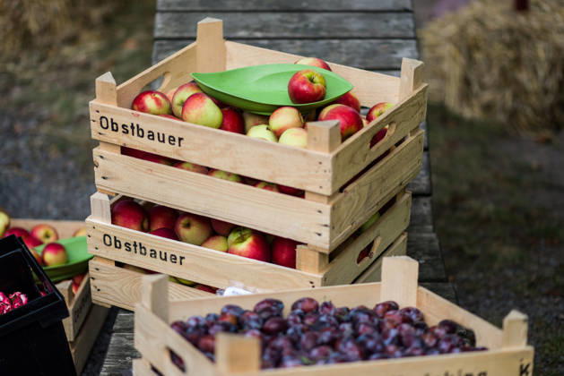 IMAGO Creative, Jahreszeit Sommer, Food, Pflaume pflaumen,äpfel,obstbauer,pflaume,zwetschge,zwetschgen,apfel ** plums,apples,obstbauer,plum,apple 4yz-gi9