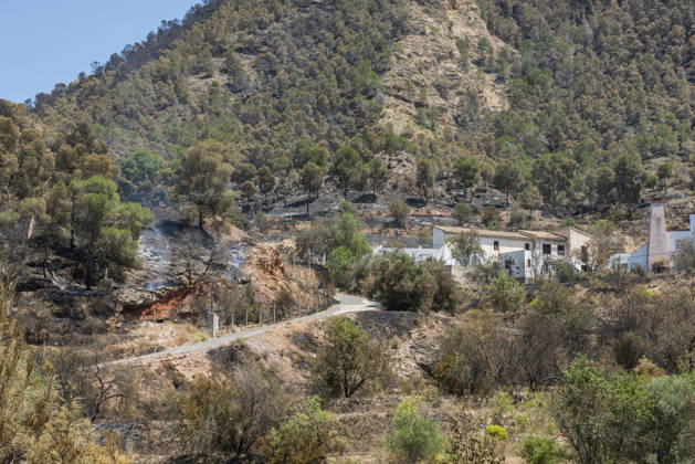 Second day of extinguishing the fire in Los Garres Murcia and has forced preventive evictions Burned areas by fire in Los Garres, June 2, 2026, in Murcia, Region of Murcia Spain The fire declared yesterday afternoon June 3 in the Murcian districts of Los Garres and Lages caused the activation of the Infomur Plan in emergency phase, in situation two, A total of 250 troops from the Region of Murcia are working in the area, along with local and state resources Units of the Third Intervention Battalion of the Military Emergency Unit UME have gone from their base in Bétera Valencia to help in fighting this fire, after being requested by the President of the Regional Government, Fernando López Miras 03 JUNE 2026 Víctor Ferná Murcia, Region de Mu Copyright: xVictorxFernandezx 7569322