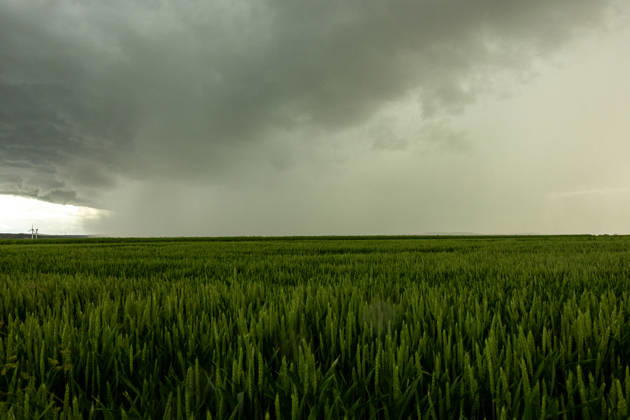 Thunderstorms move across Germany On 4 June 2026, several thunderstorms and storms moved across large parts of Germany One of the focal points was in North Rhine-Westphalia Strong wind shear caused several suspected tornadoes The thunderstorms were accompanied by heavy rain, squalls