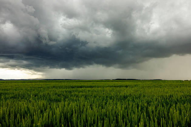 Thunderstorms move across Germany On 4 June 2026, several thunderstorms and storms moved across large parts of Germany One of the focal points was in North Rhine-Westphalia Strong wind shear caused several suspected tornadoes The thunderstorms were accompanied by heavy rain, squalls