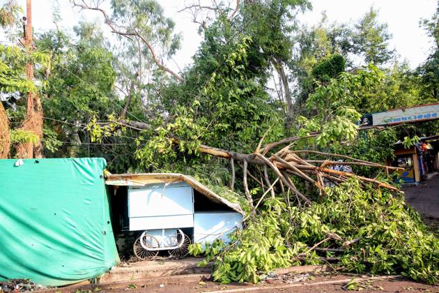 Heavy thunderstorms and pre-monsoon rains cause destruction in Bhopal Bhopal, Jun 05 (ANI): An uprooted tree falls down due to heavy thunderstorms and pre-monsoon rains, in Bhopal on Friday. Bhopal Madhya Pradesh India Copyright: xANIx ANI_20260605006