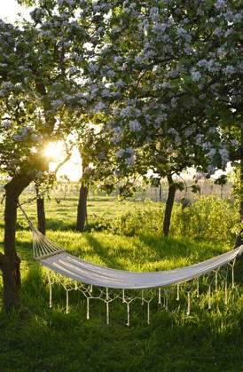 Empty hammock between blooming apple trees at sunset, Hamburg Hamburg Deutschland Altes Land GISF01334