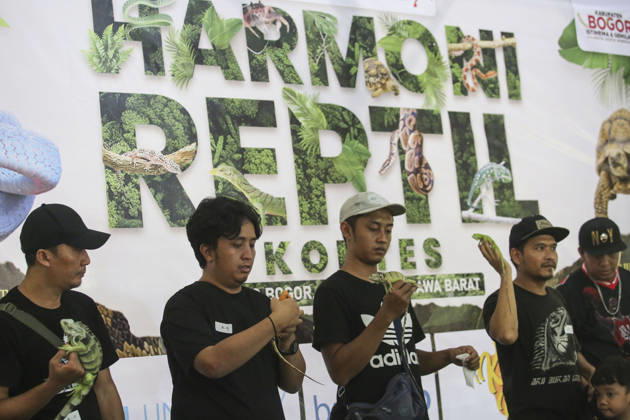 Iguana enthusiasts take part in reptile contest in Bogor BOGOR, INDONESIA - JUNE 6: Iguana enthusiasts participate in the Reptile Contest in Bogor, West Java, Indonesia, on June 6, 2026. The competition evaluated reptiles based on health, body proportions, color quality, and skin condition. Agoes Rudianto Anadolu Bogor Indonesia. Editorial use only. Please get in touch for any other usage.  Copyright: x2026xAnadoluxAgoesxRudiantox