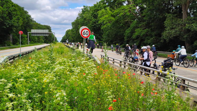 Berlin, 07 06 2026 The ADFC is organizing the 50th bicycle rally this Sunday Tens of thousands of people are having fun on Avus