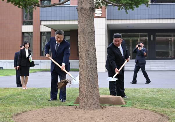 (260609) -- PYONGYANG, June 9, 2026 -- Xi Jinping, general secretary of the Communist Party of China Central Committee and Chinese president, and Kim Jong Un, general secretary of the Workers Party of Korea (WPK) and president of the State Affairs of the Democratic People s Republic of Korea (DPRK), jointly plant a fir tree in the wooded area between teaching buildings of the Central Cadres Training School of the WPK in Pyongyang, the DPRK, June 9, 2026. On Tuesday morning, Xi, accompanied by Kim, visited the Central Cadres Training School of the WPK in Pyongyang. ) DPRK-PYONGYANG-CHINA-XI JINPING-WPK-CENTRAL CADRES TRAINING SCHOOL YanxYan 