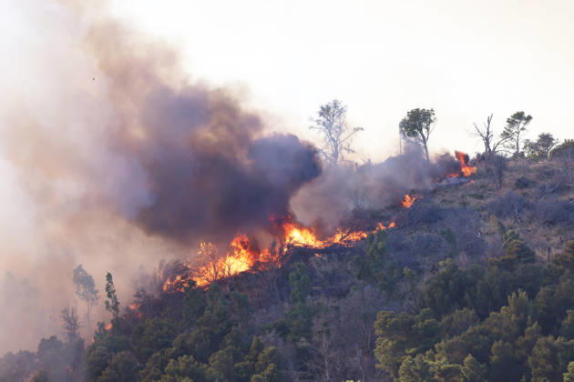 Firefighters response to wildfires in two regions in southern Italy SICILY, ITALY - JUNE 13: Large fire has broken out in Montagna Grande, a town in Salemi, near Trapani in Sicily, Italy on June 13, 2026. Two Canadair aircraft and three helicopters take part in an extinguishing work. Alberto Lo Bianco Anadolu Sicily Italy. Editorial use only. Please get in touch for any other usage.  Copyright: x2026xAnadoluxAlbertoxLoxBiancox