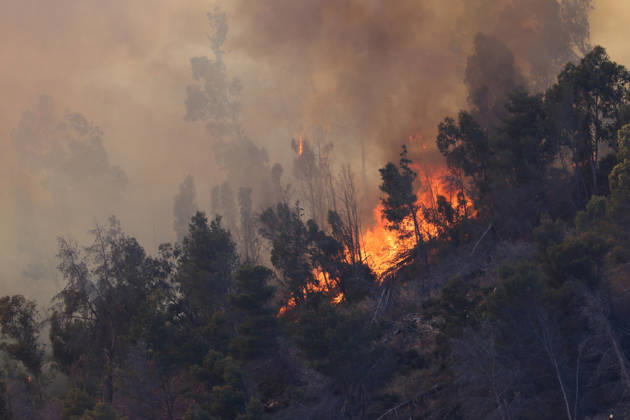 News Bilder des Tages Firefighters response to wildfires in two regions in southern Italy SICILY, ITALY - JUNE 13: Large fire has broken out in Montagna Grande, a town in Salemi, near Trapani in Sicily, Italy on June 13, 2026. Two Canadair aircraft and three helicopters take part in an extinguishing work. Alberto Lo Bianco Anadolu Sicily Italy. Editorial use only. Please get in touch for any other usage.  Copyright: x2026xAnadoluxAlbertoxLoxBiancox