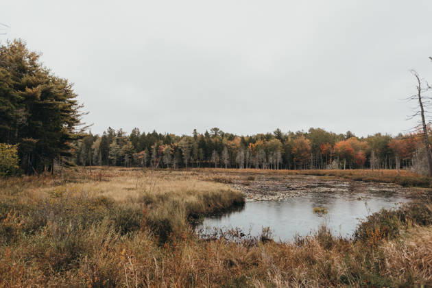 Long Pond, Mt Desert Island Maine, Acadia National Park Mount Desert, Maine, United States R_XPQF260615-2052216-01