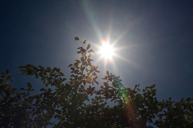 Heat Wave and Climate Change