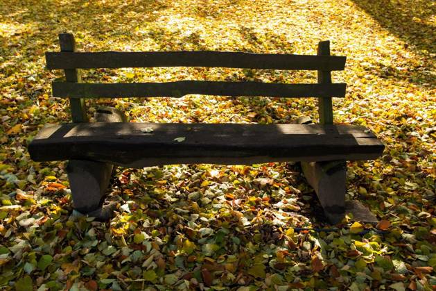 wooden bench in the park on fallen leaves background Copyright: xartushx Panthermedia72929390.jpg