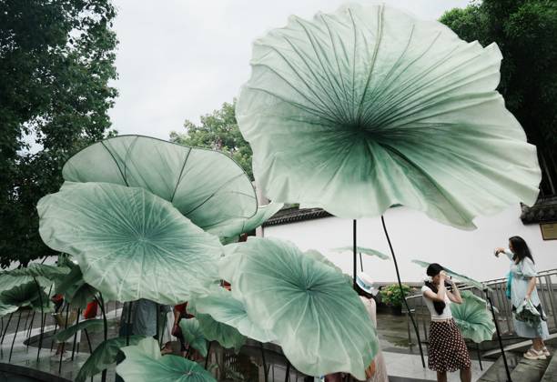 Lotus Leaf Art Installation Citizens enjoy the cool breeze under an art installation composed of giant lotus leaves in Hangzhou, Zhejiang Province, China on July 5, 2026. Hangzhou Zhejiang China  Copyright: xLWx i1783267421228