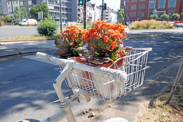 Fatal Bicycle Accidents: A so-called white ghost bike stands on the side of a heavily trafficked road—considered an accident black spot—following a fatal accident in Essen, North Rhine-Westphalia, Germany