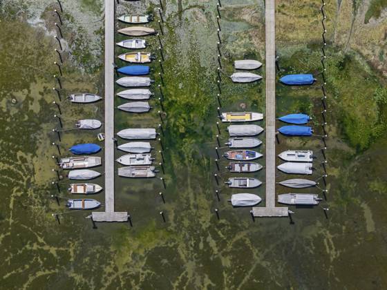 Trockenheit am Bodensee. Der Yachthafen von Mannenbach-Salenstein im Kanton Thurgau liegt fast vollständig trocken. Boote liegen am Liegeplatz am Bootssteg auf dem Trockenen und kommen nicht mehr ins Wasser. Luftbild. Mannenbach-Salenstein, Kanton Thurgau, Schweiz Drought on Lake Constance. The marina of Mannenbach-Salenstein in the canton of Thurgau is almost completely dry. Boats are dry at the dock and can no longer get into the water. aerial view. Mannenbach-Salenstein, Canton of Thurgau, Switzerland Copyright: imageBROKER ArnulfxHettrich ibxhet18392866.jpg