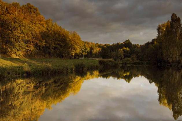 Golden autumn forest reflecting in a calm lake Zgorzelec, Lower Silesian Voivodeship, Poland CR_ZBZB260728-2089245-01 ,model released, Symbolfoto ,property released
