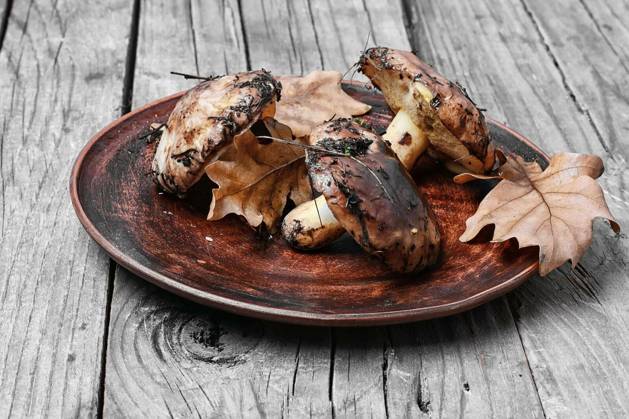 Plate collected in the forest boletus mushrooms on a wooden background Copyright: xLMykolax Panthermedia74462760.jpg