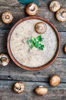 plate of cream soup from the harvest of fresh autumn mushrooms Copyright: xLMykolax Panthermedia74739386.jpg