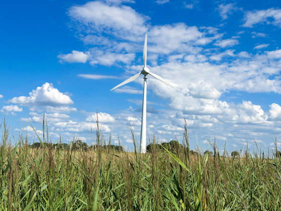 Wind turbine in a rural landscape with tall reeds under a blue sky and striking cumulus clouds; symbolic image representing wind energy, renewable energy, the energy transition, climate protection, electricity generation, sustainable energy supply, the environment, infrastructure, agriculture, nature, rural areas, summer, wide-angle, wide shot, w Copyright: xJOERANxSTEINSIEKx