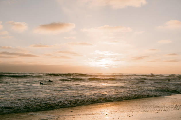 Surfers in the ocean during a golden sunset Oceanside, California, United States R_HVJM260804-2092714-01 ,model released, Symbolfoto ,property released