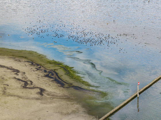 The shore of Lake Constance near Moos with low water levels. Water levels have reached a record low due to the hot summer. In many harbors on the Untersee, there is hardly any water left. Moos is located on the shore of Lake Constance on the Höri Peninsula. August 6, 2026, Moos, Baden-Württemberg, Germany