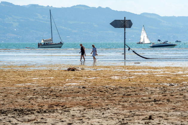Shore area at Lake Constance exposed by drought; walkers wading through the shallow water toward the shore; Wasserburg, August 2026, Germany; Wasserburg, August 2026, shoreline exposed by droug