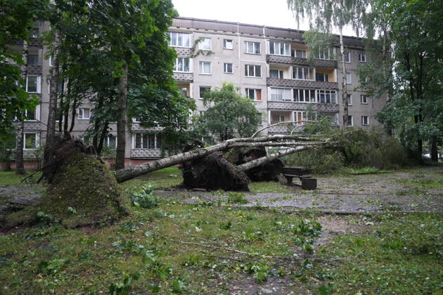 (260823) -- RIGA, Aug. 23, 2026 -- This photo taken on Aug. 23, 2026 shows the aftermath of a powerful storm in Riga, Latvia. A powerful cyclone swept northward across the three Baltic states on Saturday, killing two as strong winds, torrential rain and thunderstorms ravaged Lithuania, Latvia and Estonia. Meteorological data showed Saturday s storm was the most destructive to hit Latvia since January 2005. (Photo by Xinhua) LATVIA-RIGA-STORM-AFTERMATH EdijsxPalens 