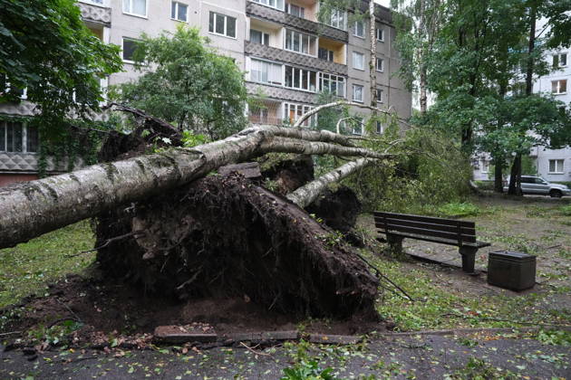 (260823) -- RIGA, Aug. 23, 2026 -- This photo taken on Aug. 23, 2026 shows the aftermath of a powerful storm in Riga, Latvia. A powerful cyclone swept northward across the three Baltic states on Saturday, killing two as strong winds, torrential rain and thunderstorms ravaged Lithuania, Latvia and Estonia. Meteorological data showed Saturday s storm was the most destructive to hit Latvia since January 2005. (Photo by Xinhua) LATVIA-RIGA-STORM-AFTERMATH EdijsxPalens