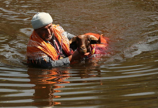 Shepherds and adorned sheep compete in Turkiye s 853-year-old river crossing contest DENIZLI, TURKIYE - AUGUST 23: Shepherds guide their sheep to cross the Buyuk Menderes River during the 853-year-old traditional Sheep Crossing Water Contest in the Cal district of Denizli, Turkiye on August 23, 2026. This year s historic event saw 47 shepherds with 63 flocks participating from surrounding districts. Waiting their turn since sunrise, the shepherds led their painted and decorated leader sheep ( elci ) to guide the rest of the flock across the river. Mahmut Serdar Alakus Anadolu Denizli Turkey. Editorial use only. Please get in touch for any other usage. Copyright: x2026xAnadoluxMahmutxSerdarxAlakusx