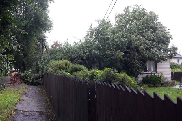 August 23, 2026, Riga, Latvija: The aftermath of a powerful storm is seen in Riga, Latvia, Aug. 23, 2026. Fallen and uprooted trees are scattered across residential areas, damaging parked cars, blocking roads and walkways, and posing a threat to nearby buildings. The storm, which swept across Latvia on Saturday evening and overnight, caused widespread damage across the country, with Riga recording the highest number of reports of storm-related incidents. As of Sunday morning, emergency services had received nearly 1,900 reports of damage caused by strong winds nationwide. Riga Latvija - ZUMAp305 20260823_zip_p305_003 Copyright: xEdijsxPalensx