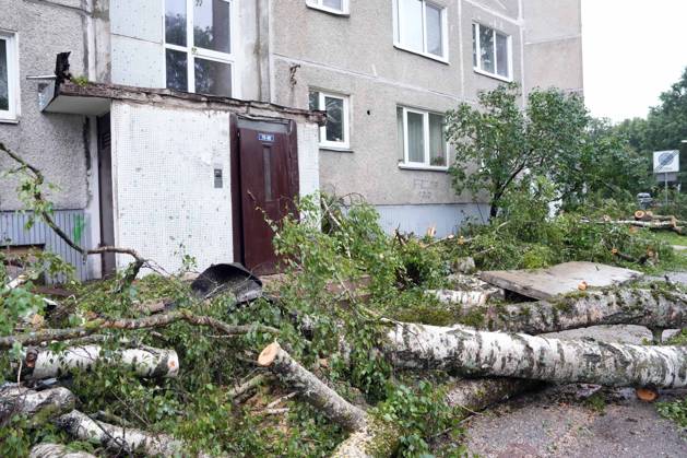August 23, 2026, Riga, Latvija: The aftermath of a powerful storm is seen in Riga, Latvia, Aug. 23, 2026. Fallen and uprooted trees are scattered across residential areas, damaging parked cars, blocking roads and walkways, and posing a threat to nearby buildings. The storm, which swept across Latvia on Saturday evening and overnight, caused widespread damage across the country, with Riga recording the highest number of reports of storm-related incidents. As of Sunday morning, emergency services had received nearly 1,900 reports of damage caused by strong winds nationwide. Riga Latvija - ZUMAp305 20260823_zip_p305_002 Copyright: xEdijsxPalensx
