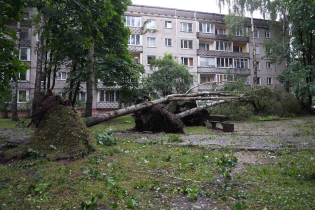August 23, 2026, Riga, Latvija: The aftermath of a powerful storm is seen in Riga, Latvia, Aug. 23, 2026. Fallen and uprooted trees are scattered across residential areas, damaging parked cars, blocking roads and walkways, and posing a threat to nearby buildings. The storm, which swept across Latvia on Saturday evening and overnight, caused widespread damage across the country, with Riga recording the highest number of reports of storm-related incidents. As of Sunday morning, emergency services had received nearly 1,900 reports of damage caused by strong winds nationwide. Riga Latvija - ZUMAp305 20260823_zip_p305_005 Copyright: xEdijsxPalensx
