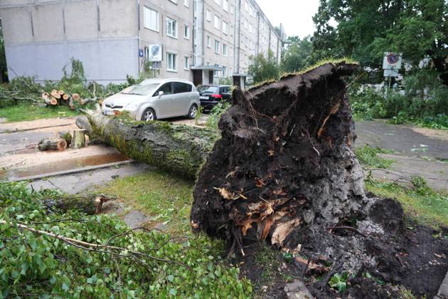 August 23, 2026, Riga, Latvija: The aftermath of a powerful storm is seen in Riga, Latvia, Aug. 23, 2026. Fallen and uprooted trees are scattered across residential areas, damaging parked cars, blocking roads and walkways, and posing a threat to nearby buildings. The storm, which swept across Latvia on Saturday evening and overnight, caused widespread damage across the country, with Riga recording the highest number of reports of storm-related incidents. As of Sunday morning, emergency services had received nearly 1,900 reports of damage caused by strong winds nationwide. Riga Latvija - ZUMAp305 20260823_zip_p305_006 Copyright: xEdijsxPalensx