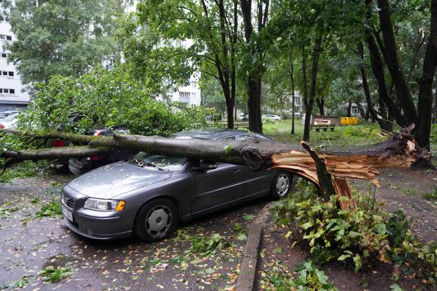 August 23, 2026, Riga, Latvija: The aftermath of a powerful storm is seen in Riga, Latvia, Aug. 23, 2026. Fallen and uprooted trees are scattered across residential areas, damaging parked cars, blocking roads and walkways, and posing a threat to nearby buildings. The storm, which swept across Latvia on Saturday evening and overnight, caused widespread damage across the country, with Riga recording the highest number of reports of storm-related incidents. As of Sunday morning, emergency services had received nearly 1,900 reports of damage caused by strong winds nationwide. Riga Latvija - ZUMAp305 20260823_zip_p305_008 Copyright: xEdijsxPalensx