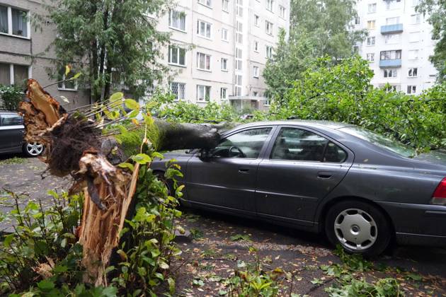 August 23, 2026, Riga, Latvija: The aftermath of a powerful storm is seen in Riga, Latvia, Aug. 23, 2026. Fallen and uprooted trees are scattered across residential areas, damaging parked cars, blocking roads and walkways, and posing a threat to nearby buildings. The storm, which swept across Latvia on Saturday evening and overnight, caused widespread damage across the country, with Riga recording the highest number of reports of storm-related incidents. As of Sunday morning, emergency services had received nearly 1,900 reports of damage caused by strong winds nationwide. Riga Latvija - ZUMAp305 20260823_zip_p305_010 Copyright: xEdijsxPalensx