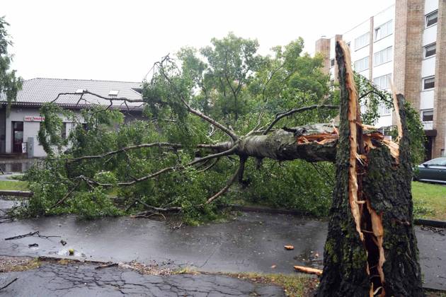August 23, 2026, Riga, Latvija: The aftermath of a powerful storm is seen in Riga, Latvia, Aug. 23, 2026. Fallen and uprooted trees are scattered across residential areas, damaging parked cars, blocking roads and walkways, and posing a threat to nearby buildings. The storm, which swept across Latvia on Saturday evening and overnight, caused widespread damage across the country, with Riga recording the highest number of reports of storm-related incidents. As of Sunday morning, emergency services had received nearly 1,900 reports of damage caused by strong winds nationwide. Riga Latvija - ZUMAp305 20260823_zip_p305_015 Copyright: xEdijsxPalensx