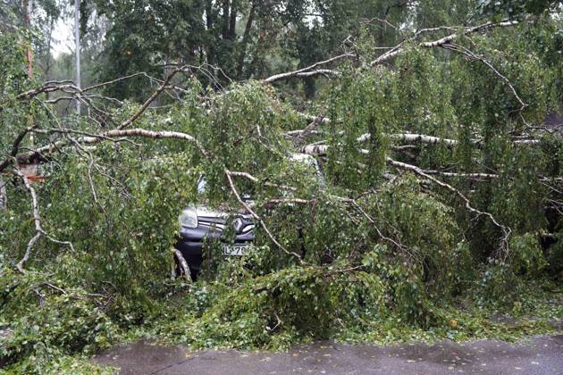 August 23, 2026, Riga, Latvija: The aftermath of a powerful storm is seen in Riga, Latvia, Aug. 23, 2026. Fallen and uprooted trees are scattered across residential areas, damaging parked cars, blocking roads and walkways, and posing a threat to nearby buildings. The storm, which swept across Latvia on Saturday evening and overnight, caused widespread damage across the country, with Riga recording the highest number of reports of storm-related incidents. As of Sunday morning, emergency services had received nearly 1,900 reports of damage caused by strong winds nationwide. Riga Latvija - ZUMAp305 20260823_zip_p305_017 Copyright: xEdijsxPalensx