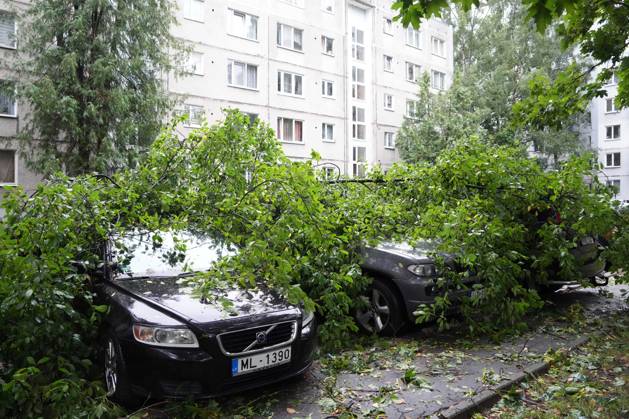 August 23, 2026, Riga, Latvija: The aftermath of a powerful storm is seen in Riga, Latvia, Aug. 23, 2026. Fallen and uprooted trees are scattered across residential areas, damaging parked cars, blocking roads and walkways, and posing a threat to nearby buildings. The storm, which swept across Latvia on Saturday evening and overnight, caused widespread damage across the country, with Riga recording the highest number of reports of storm-related incidents. As of Sunday morning, emergency services had received nearly 1,900 reports of damage caused by strong winds nationwide. Riga Latvija - ZUMAp305 20260823_zip_p305_009 Copyright: xEdijsxPalensx