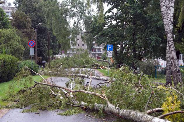 August 23, 2026, Riga, Latvija: The aftermath of a powerful storm is seen in Riga, Latvia, Aug. 23, 2026. Fallen and uprooted trees are scattered across residential areas, damaging parked cars, blocking roads and walkways, and posing a threat to nearby buildings. The storm, which swept across Latvia on Saturday evening and overnight, caused widespread damage across the country, with Riga recording the highest number of reports of storm-related incidents. As of Sunday morning, emergency services had received nearly 1,900 reports of damage caused by strong winds nationwide. Riga Latvija - ZUMAp305 20260823_zip_p305_011 Copyright: xEdijsxPalensx