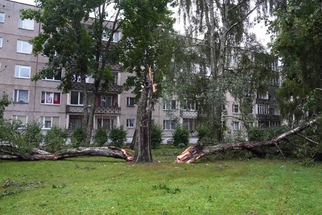 August 23, 2026, Riga, Latvija: The aftermath of a powerful storm is seen in Riga, Latvia, Aug. 23, 2026. Fallen and uprooted trees are scattered across residential areas, damaging parked cars, blocking roads and walkways, and posing a threat to nearby buildings. The storm, which swept across Latvia on Saturday evening and overnight, caused widespread damage across the country, with Riga recording the highest number of reports of storm-related incidents. As of Sunday morning, emergency services had received nearly 1,900 reports of damage caused by strong winds nationwide. Riga Latvija - ZUMAp305 20260823_zip_p305_012 Copyright: xEdijsxPalensx