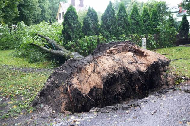 August 23, 2026, Riga, Latvija: The aftermath of a powerful storm is seen in Riga, Latvia, Aug. 23, 2026. Fallen and uprooted trees are scattered across residential areas, damaging parked cars, blocking roads and walkways, and posing a threat to nearby buildings. The storm, which swept across Latvia on Saturday evening and overnight, caused widespread damage across the country, with Riga recording the highest number of reports of storm-related incidents. As of Sunday morning, emergency services had received nearly 1,900 reports of damage caused by strong winds nationwide. Riga Latvija - ZUMAp305 20260823_zip_p305_014 Copyright: xEdijsxPalensx