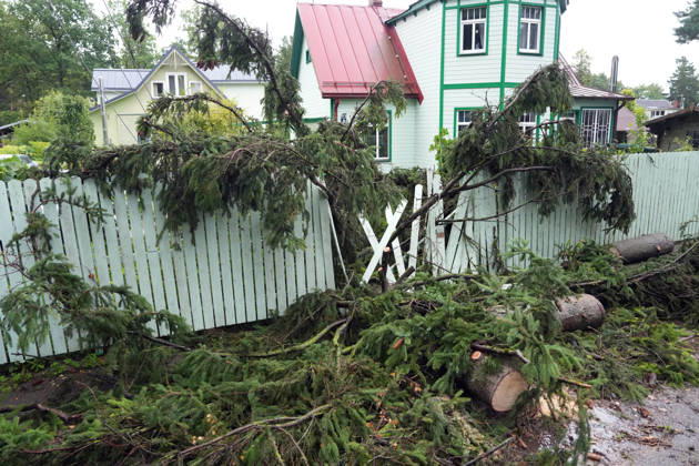 August 23, 2026, Riga, Latvija: The aftermath of a powerful storm is seen in Riga, Latvia, Aug. 23, 2026. Fallen and uprooted trees are scattered across residential areas, damaging parked cars, blocking roads and walkways, and posing a threat to nearby buildings. The storm, which swept across Latvia on Saturday evening and overnight, caused widespread damage across the country, with Riga recording the highest number of reports of storm-related incidents. As of Sunday morning, emergency services had received nearly 1,900 reports of damage caused by strong winds nationwide. Riga Latvija - ZUMAp305 20260823_zip_p305_019 Copyright: xEdijsxPalensx