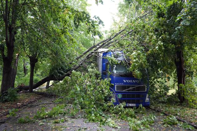 August 23, 2026, Riga, Latvija: The aftermath of a powerful storm is seen in Riga, Latvia, Aug. 23, 2026. Fallen and uprooted trees are scattered across residential areas, damaging parked cars, blocking roads and walkways, and posing a threat to nearby buildings. The storm, which swept across Latvia on Saturday evening and overnight, caused widespread damage across the country, with Riga recording the highest number of reports of storm-related incidents. As of Sunday morning, emergency services had received nearly 1,900 reports of damage caused by strong winds nationwide. Riga Latvija - ZUMAp305 20260823_zip_p305_020 Copyright: xEdijsxPalensx