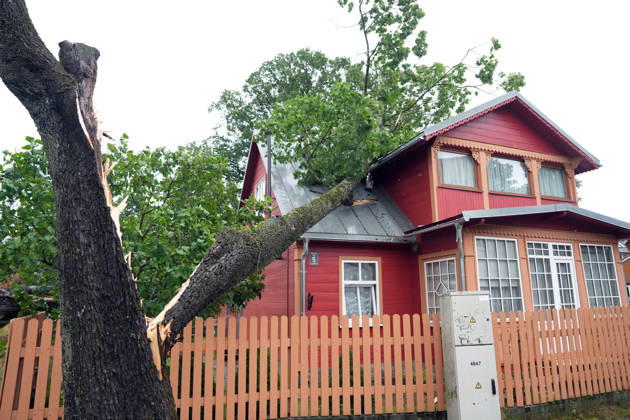 August 23, 2026, Riga, Latvija: The aftermath of a powerful storm is seen in Riga, Latvia, Aug. 23, 2026. Fallen and uprooted trees are scattered across residential areas, damaging parked cars, blocking roads and walkways, and posing a threat to nearby buildings. The storm, which swept across Latvia on Saturday evening and overnight, caused widespread damage across the country, with Riga recording the highest number of reports of storm-related incidents. As of Sunday morning, emergency services had received nearly 1,900 reports of damage caused by strong winds nationwide. Riga Latvija - ZUMAp305 20260823_zip_p305_022 Copyright: xEdijsxPalensx