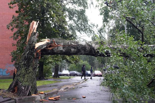 August 23, 2026, Riga, Latvija: The aftermath of a powerful storm is seen in Riga, Latvia, Aug. 23, 2026. Fallen and uprooted trees are scattered across residential areas, damaging parked cars, blocking roads and walkways, and posing a threat to nearby buildings. The storm, which swept across Latvia on Saturday evening and overnight, caused widespread damage across the country, with Riga recording the highest number of reports of storm-related incidents. As of Sunday morning, emergency services had received nearly 1,900 reports of damage caused by strong winds nationwide. Riga Latvija - ZUMAp305 20260823_zip_p305_024 Copyright: xEdijsxPalensx
