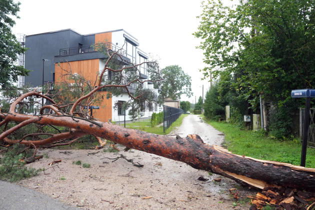 August 23, 2026, Riga, Latvija: The aftermath of a powerful storm is seen in Riga, Latvia, Aug. 23, 2026. Fallen and uprooted trees are scattered across residential areas, damaging parked cars, blocking roads and walkways, and posing a threat to nearby buildings. The storm, which swept across Latvia on Saturday evening and overnight, caused widespread damage across the country, with Riga recording the highest number of reports of storm-related incidents. As of Sunday morning, emergency services had received nearly 1,900 reports of damage caused by strong winds nationwide. Riga Latvija - ZUMAp305 20260823_zip_p305_025 Copyright: xEdijsxPalensx