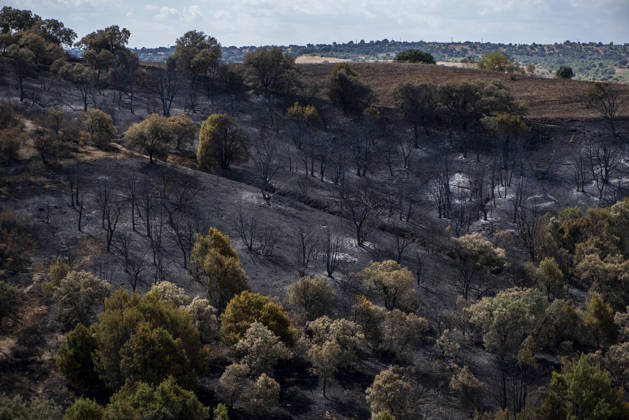 A wildfire in Aldea del Fresno, Madrid, forces the evacuation of this town and Villamantilla Vista after the fire passed through, on August 23, 2026, in Aldea del Fresno, Madrid, Spain. The wildfire that originated in Aldea del Fresno was downgraded from Operational Level 1 to Level 0 under the Civil Protection Plan on August 20, following a very favorable progression of the fire. AUGUST 23, 2026 FIRE EMAKES BURNT LAND NATURE ABURNT TREES CHARRED FIRE WESTERN MOUNTAINS FIRE S PATH BURNT LANDSCAPE LANDSCAPE Aldea del Fresno Madrid Aldea del Fresno Madrid, Spain  Copyright: xGabrixSolerax 7728925