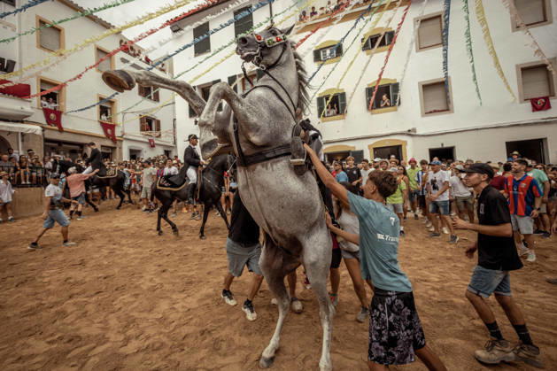 August 24, 2026, Ferreries, Menorca Balearic Islands, Spain: A caixer, or horse rider, rears his horse amid a cheering crowd during the traditional Jaleo at the Sant Bartomeu Festival in Ferreries. Ferreries Spain  - ZUMAo105 20260824_fap_o105_030 Copyright: xMatthiasxOesterlex